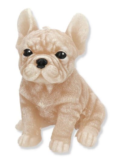 Świeca Figurka ANIMALS PIES BULDOG 11,5x15cm beżowa parafinowa