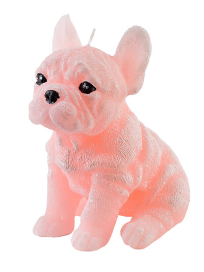 Świeca Figurka ANIMALS PIES BULDOG 11,5x15cm różowa parafinowa