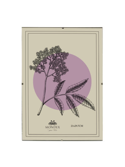 ADI Ramka 21x29,7 cm Antyrama