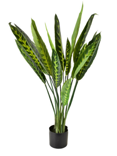 VIRIDIS Sztuczny kwiat kalatea 15x14x109cm