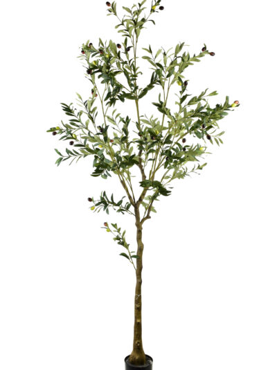 OLIVES Kwiat sztuczny 180cm