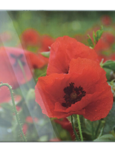 Aria Deska szklana 30x40cm