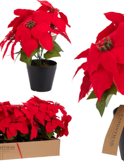 KWIAT BOŻONARODZENIOWY W DONICZCE 30CM